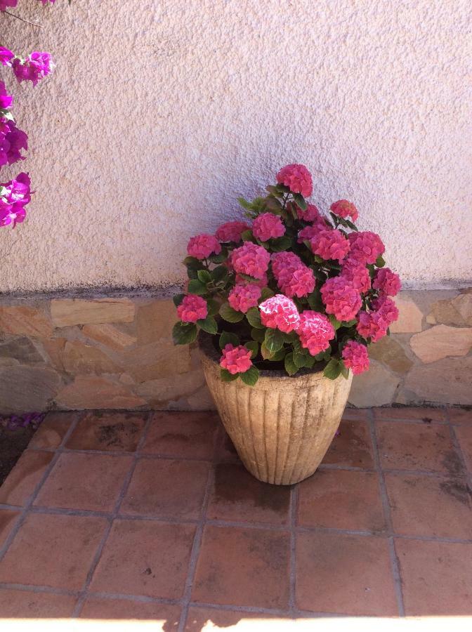 Apartamentos Y Habitaciones Kai Marbella (Adults Only) Eksteriør bilde